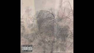 vent session # 1 (Prod. thelilbird) (Audio | Explicit)