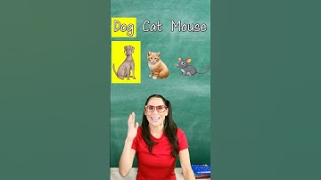 Can you complete the Animal Pattern? Learning patterns for Kids #shorts #animals  #patterns