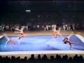 1983 Professional Gymnastics Classic