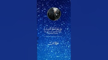 آيات بينات من الذكر الحكيم بصوت يريح القلب ❤ #القرآن_الكريم #المصحف #اكسبلور #المغرب #راحة_نفسية