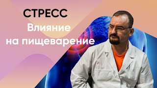 Стресс. Влияние стресса на пищеварение