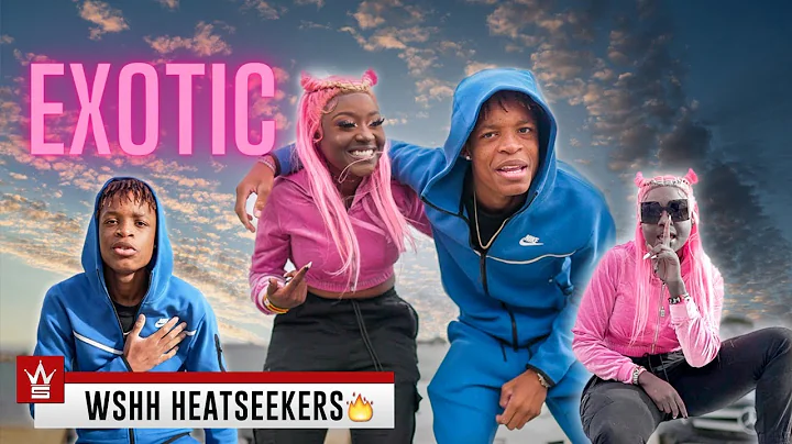 VISION Feat. T MaddZ - Exotic (WSHH Heatseekers)