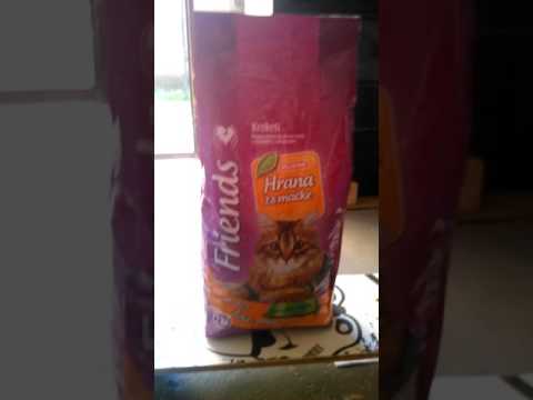 Video: Mačja Hrana Brez Zrn