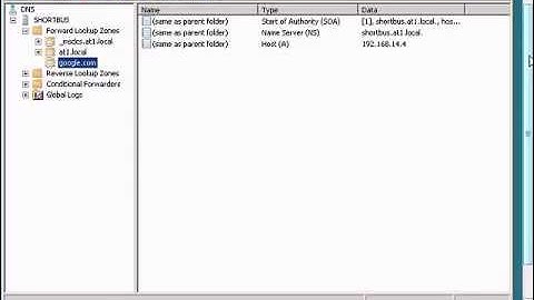 Hacking 101 using DNS manager to redirect websites