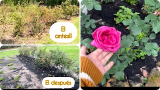 CÓMO TRASFORME MI PEQUEÑO JARDÍN 🪴)EN LA NOPALERA!! MI DÍA DE DESCANSO EN USA 🇺🇸