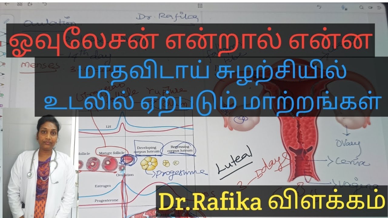 what is ovulation when it's occur and body changesMenstrual cycling changes in uterus in Tamil