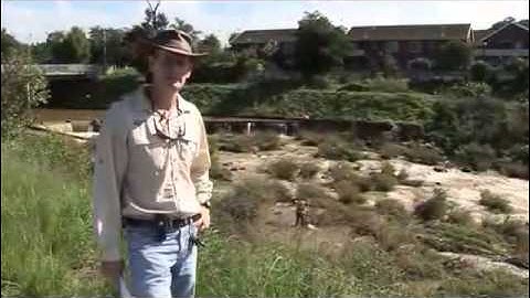 SASS5 Series - Sampling protocol stones biotope