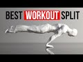 What S The Best Workout Split For Calisthenics FitnessFAQs Podcast 43 Steven Low What S The Best Workout Split For Calisthenics FitnessFAQs Podcast 43 Steven Low