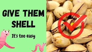 Dont JUST Feed Eggshell To Composting Worms... Also Feed THESE shells