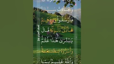 سورة يوسف # القرآن الكريم ربيع قلوبنا ونور صدورنا وجلاء حزننا وذهاب همومنا