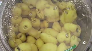 Achetez votre éplucheuse à pomme de terre 5kg de chez Fimar en promotion