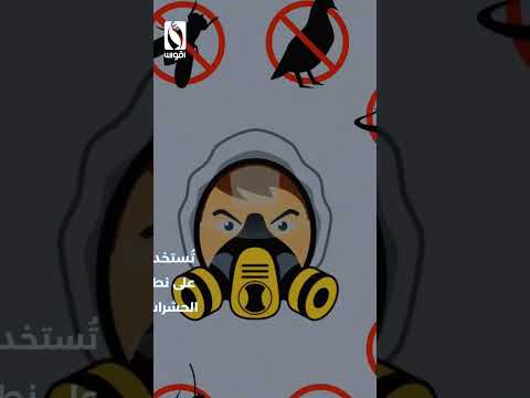 حملة واسعة في بلدية أولف لمكافحة الحشرات الناقلة للأمراض المتنقلة مثل الملاريا والدفتيريا