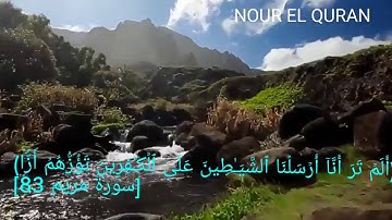 تلاوة خاشعة تهتز لها القلوب للقارئ ياسر الدوسري |سورة مريم[83-98]
