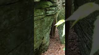IS $40,000 IN CONFEDERATE GOLD HIDDEN HERE?
