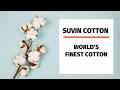 Suvin cotton worlds finest cotton