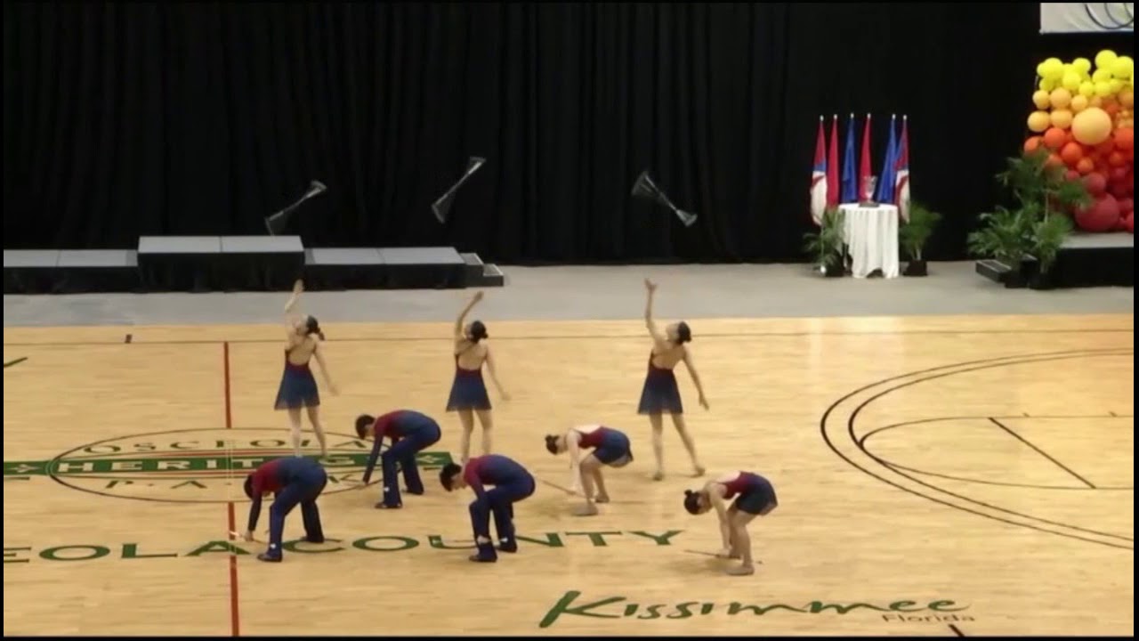 Mondial 2018 - Preliminary - Team - 1 - Japan