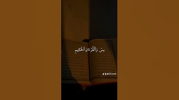 #اكسبلور #القرآن_الكريم #راحة_نفسية #المصحف #سورة_يس