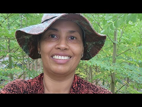 DIA A DIA NA ROÇA, NASCIMENTO DE LEITAOZINHOS. FIZEMOS UMA AQUISIÇÃO DE ALEVNOS DE PIRAPITINGA.