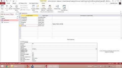 Field Properties Caption Default Required | MS Access Database 4