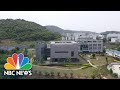 Health Experts Visit Wuhan To Investigate Covid Origins | NBC News NOW