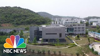 Health Experts Visit Wuhan To Investigate Covid Origins | NBC News NOW