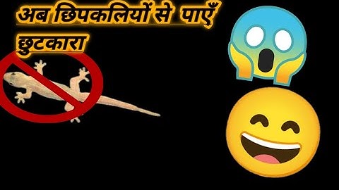 How to get rid of lizards #tips #hacks #lifehacks #tipsandtricks #lizards