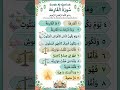 #surah Al qarya #kids #viralreels #ai #shortvideo #love #youtube