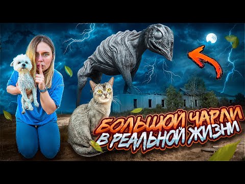 БОЛЬШОЙ ЧАРЛИ SCP В РЕАЛЬНОЙ ЖИЗНИ | 24 ЧАСА В ЗАБРОШЕННОМ КОРОВНИКЕ С КОТАМИ