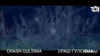 Ораш Гулсима