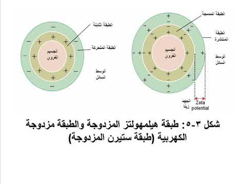 فيديو: هل هي أكثر ثباتًا من الغرويات المصابة بالرهاب؟