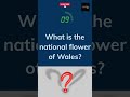 What Is The National Flower Of Wales Shorts