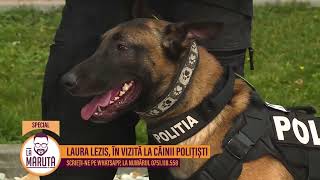 Laura Lezis, în vizită la câinii polițiști