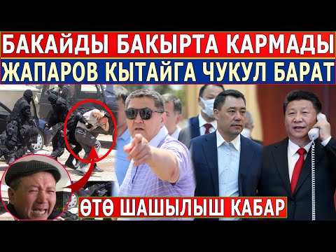 Video: Бардык жерде караңгы жалбырак