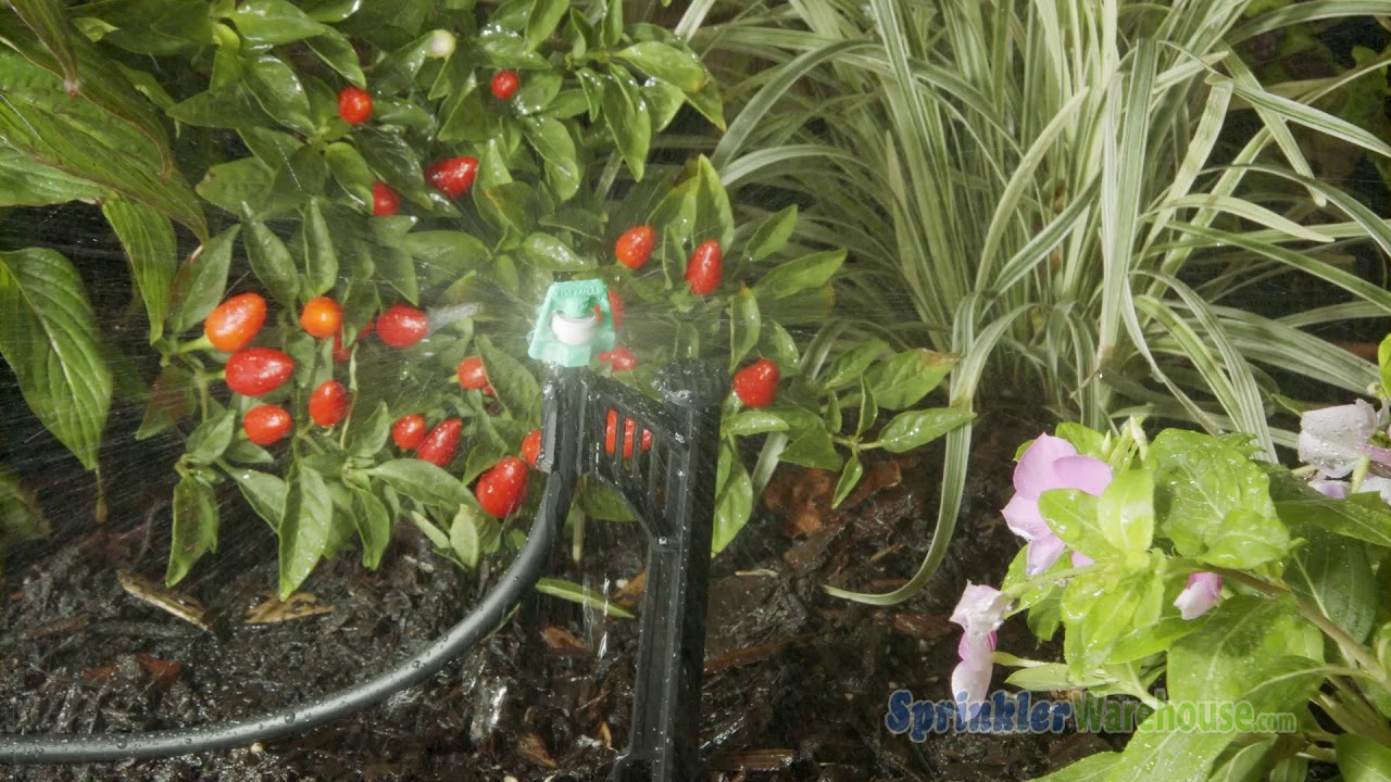 MLM15 Mister Landscaper 360 Degree Large Micro Sprayer YouTube