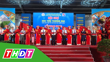 Hội chợ xúc tiến thương mại các HTX phía Nam | THDT