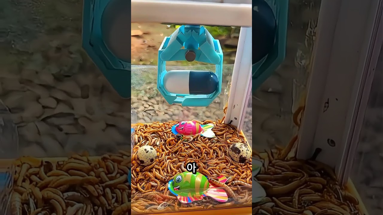 약을 먹어야 해요! 💊⏰