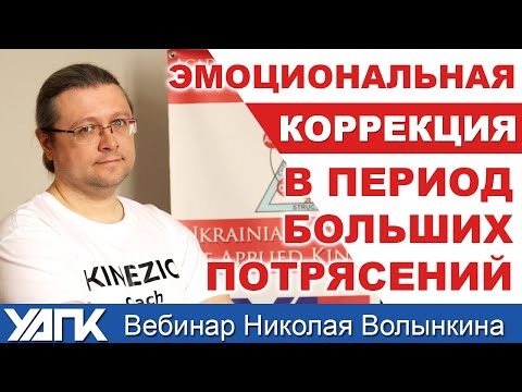 Видео: Эмоциональная поддержка. Вебинар Николая Волынкина