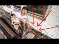 We found out what's living under our HOUSE (NOT what we expected!)