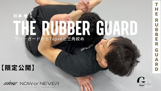 ラバ－ガ－ド グラップリング・テクニック グラップリング・テクニック ラバーガード | エディ・ブラボー
