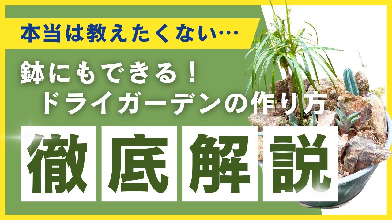 ミニドライガーデン ミニドライガーデン