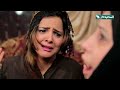 ولاد وخطوبة في نفس الوقت اضحك مع الصهير صابر