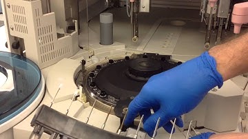 How to do the daily maintenance on the Cobas 6000