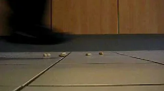 Step on Nuts with CIRCA