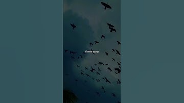 Thumbnail of Forever Young - Alphaville (Lyrics) | So many adventures couldn't happen today | Aesthetic #shorts