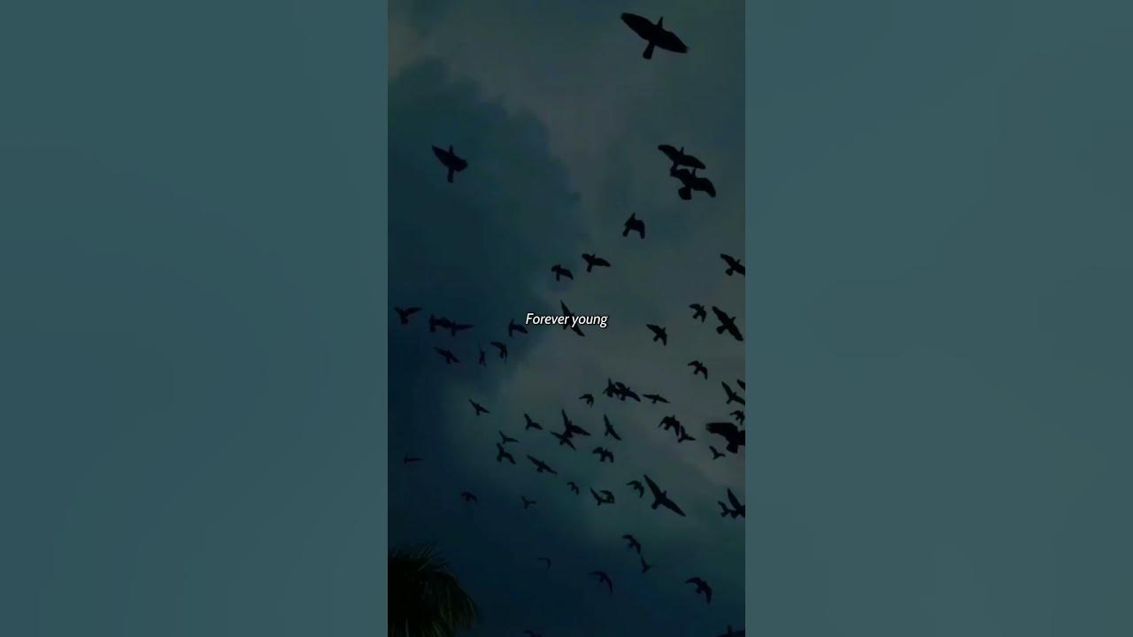 Forever Young - Alphaville (Lyrics) | So many adventures couldn't happen today | Aesthetic #shorts