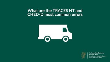 What are the TRACES NT and CHED-D most common errors?