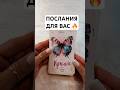🔮 ПОДСКАЗКИ ОТ ВЫСШИХ СИЛ Гадание на картах ✨ #гадание #гаданиеонлайн #vedascara