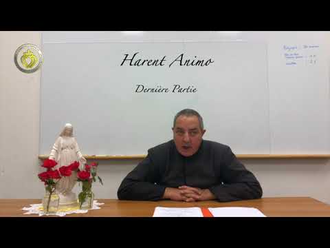 Harent Animo Dernière Partie Harent Animo Dernière Partie