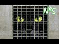 Булки,Кефир и Рок-Н-Ролл-ПРИВЕДЕНИЯ, ВАМПИРЫ И ОБОРОТНИ...-№5