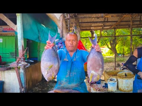 FISH CUTTING🔥FISH CUTTING SKILLS,FISH CUTTING VIDEOS FISH CUTTING🔥FISH CUTTING SKILLS,FISH CUTTING VIDEOS